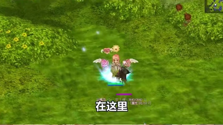 当年舍不得删的照片 都是游戏截图 #仙境传说RO