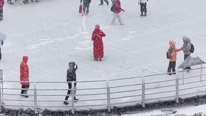 海拔4860米的达古冰川10月开始下起了秋天的第一场鹅毛大雪。#圣洁冰川多彩黑水 #秋天的第一场雪 