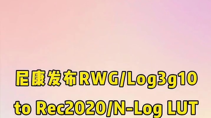 尼康发布RWG/Log3g10到Rec2020/N-Log LUT版本1.00： 该软件更新程序适用
