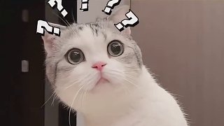 井水不知不覺就少了