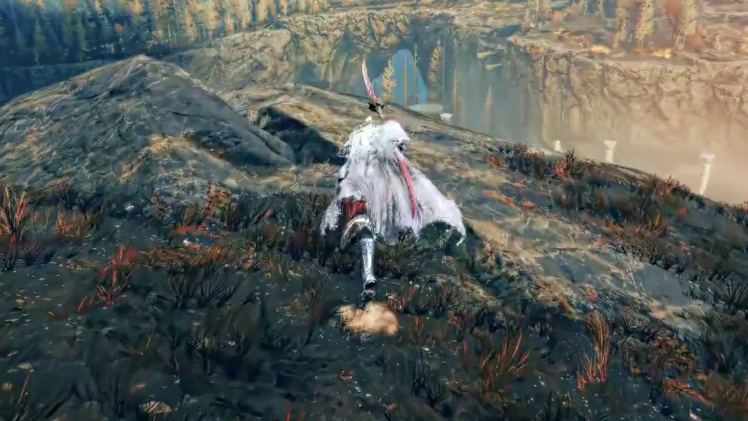 没这么高！#艾尔登法环 #黑魂