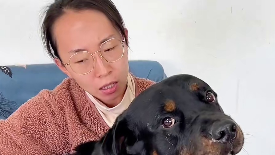 今天太阳打西边出来，一坨竟然叛变了 #罗威纳一坨