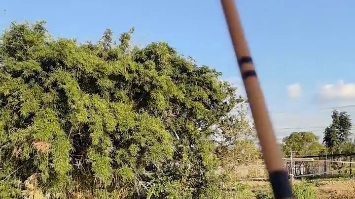 昆山电和网都不管，钓个鱼可太难了！