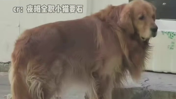 小美：我谢谢你啊！