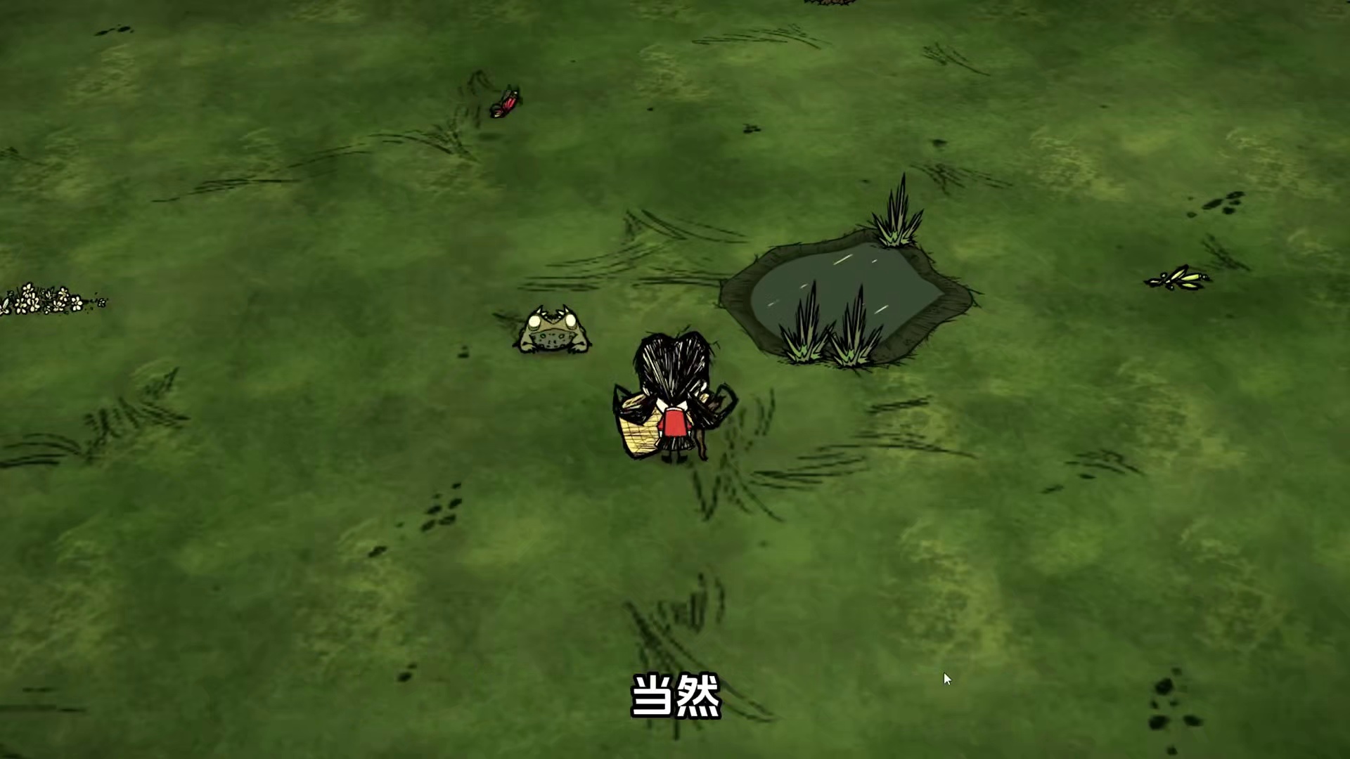 饥荒联机版：青蛙这个烦人生物！青蛙雨该怎么办？ #饥荒 #游戏 #游戏实况