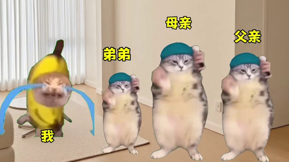 当我查高考成绩时 #猫meme