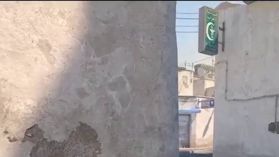 大自然才是最好的老师... #CSGO #整活 #游戏日常