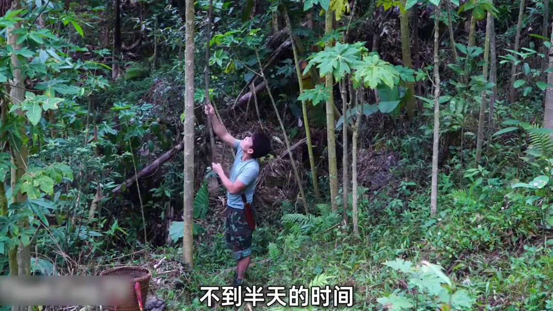 野外建造：从零开始，一人一狗，在野外用一把斧子打造梦想之家！ 荒野建造