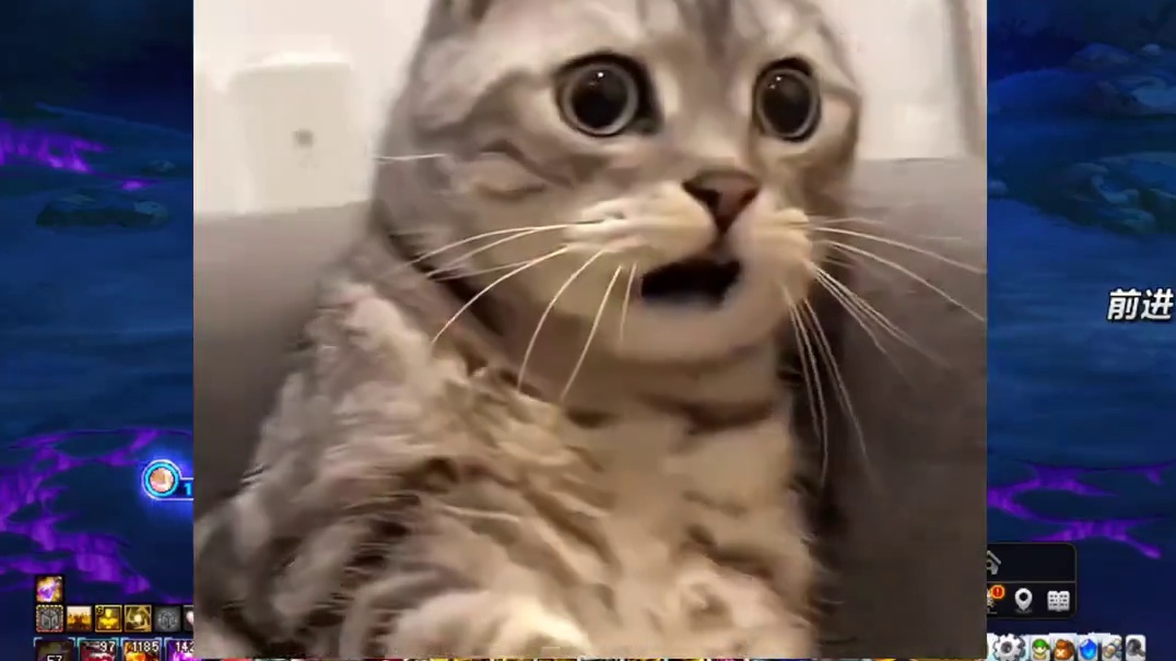 DNF神枪手自用武器装扮推荐，m4的外观确实还不错！ #DNF猪猪侠联动  #dnf #地下城与勇士