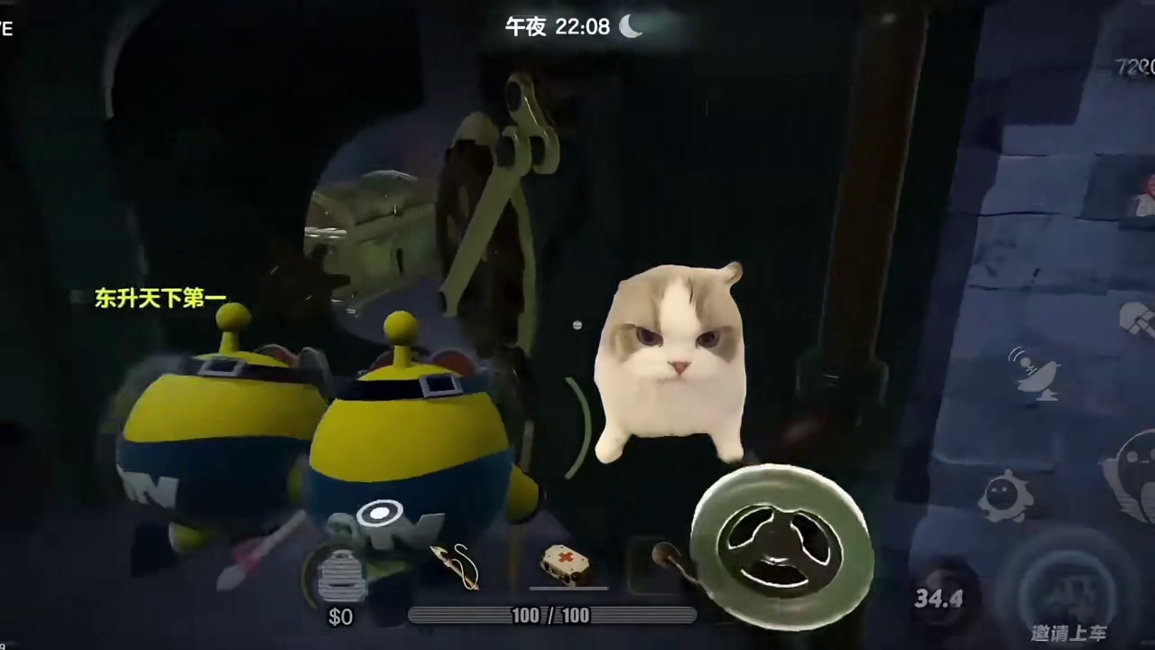 【蛋仔寻宝队】超标小猫#蛋仔小剧场#蛋仔赛博蛋客#蛋仔惊魂寻宝队#蛋搭子的日常