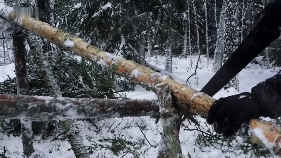 严塞时期的弗雷尔卓德已然是一片白色大地(1)