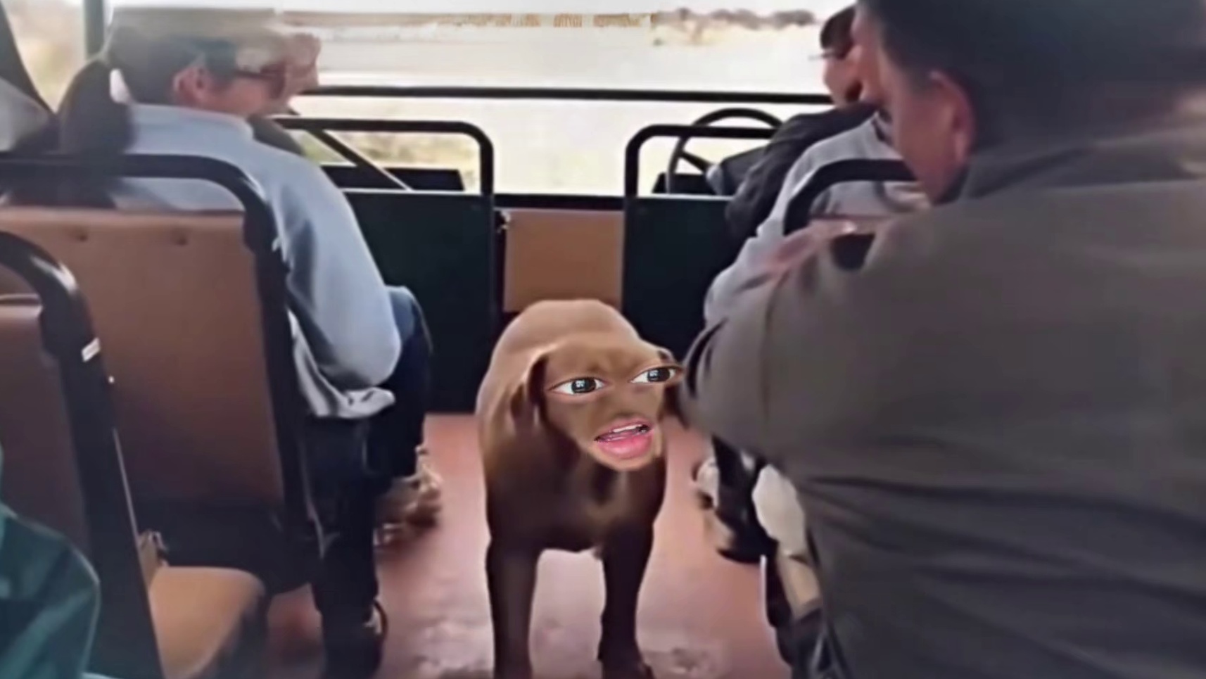 狮子狗#搞笑 #看一遍笑一遍 #万万想不到