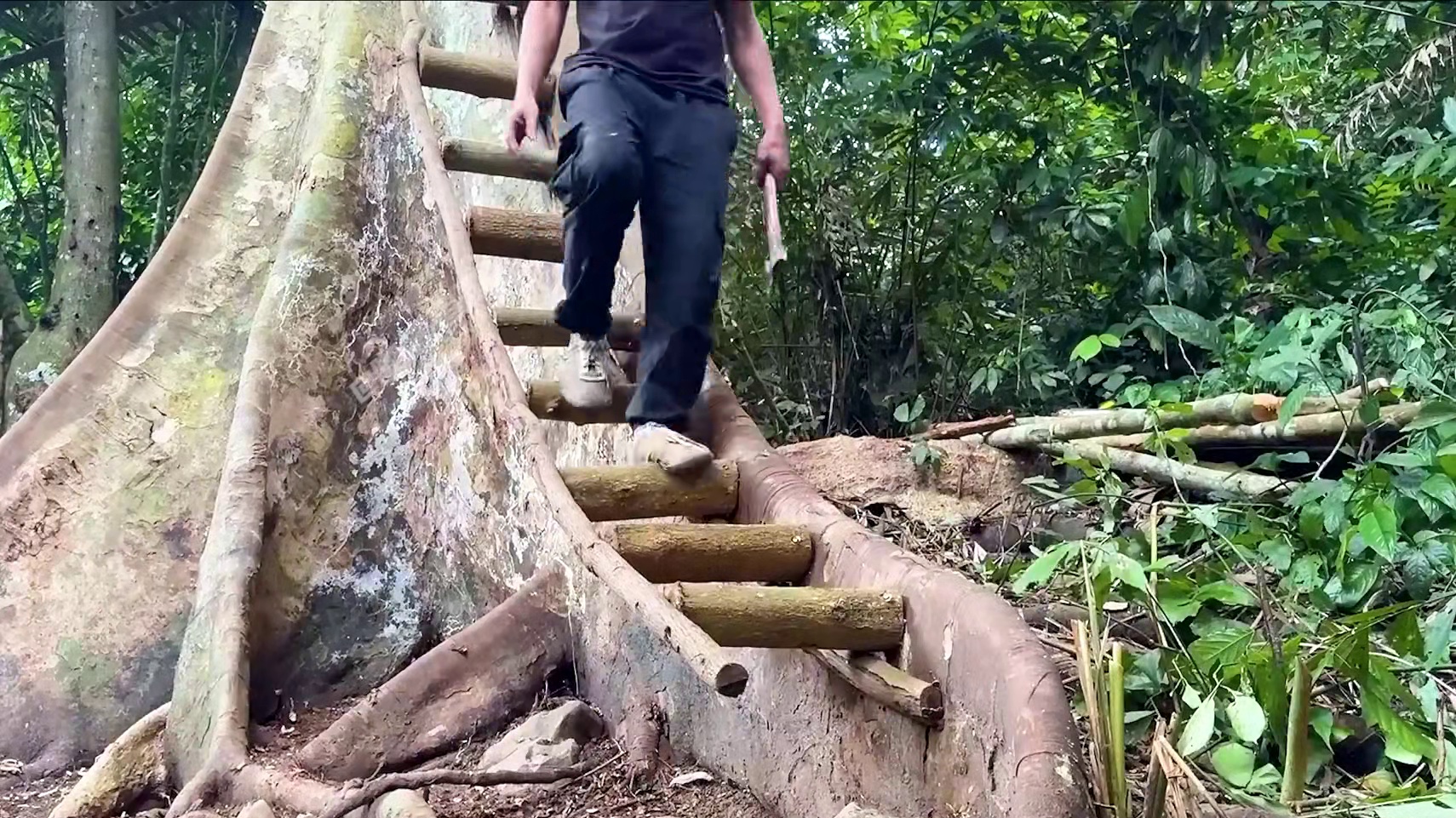 男人效仿鸟类巢穴， 把庇护所建造在十几米空中，成功抵御了狼群袭击#荒野建造 #野外生存 #真实户外 