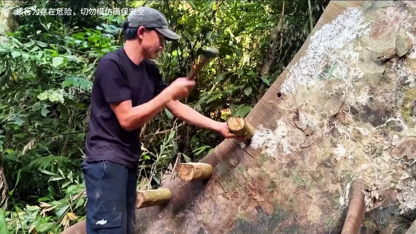 男人为了躲避野外的豺狼虎豹，竟把千年古树改造成合适居住的家！ #野外建造 #解压助眠 #荒野建造 #