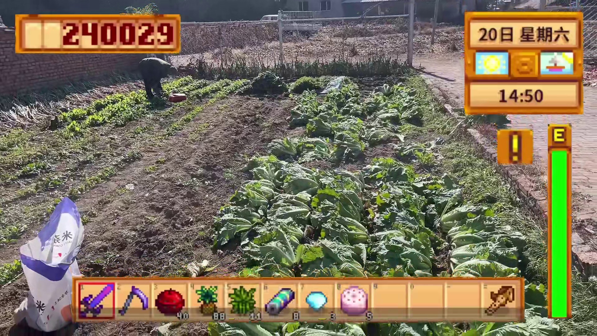 【星露谷物语】老乡，我们干掉小白菜！