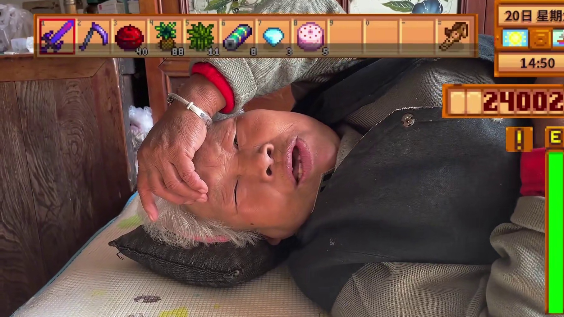 【星露谷物语】老乡，奶奶喜欢看的段子！