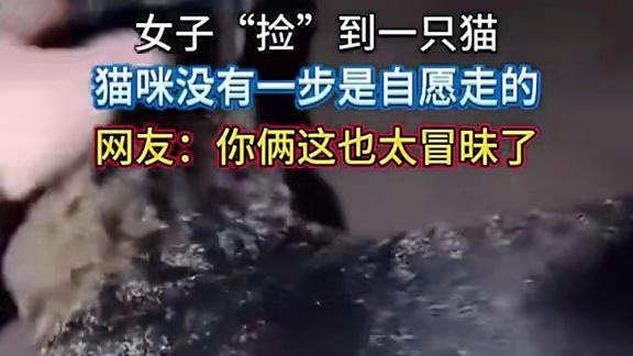 女子偶遇一猫，小猫全程“被迫”跟随，毫无自主之意