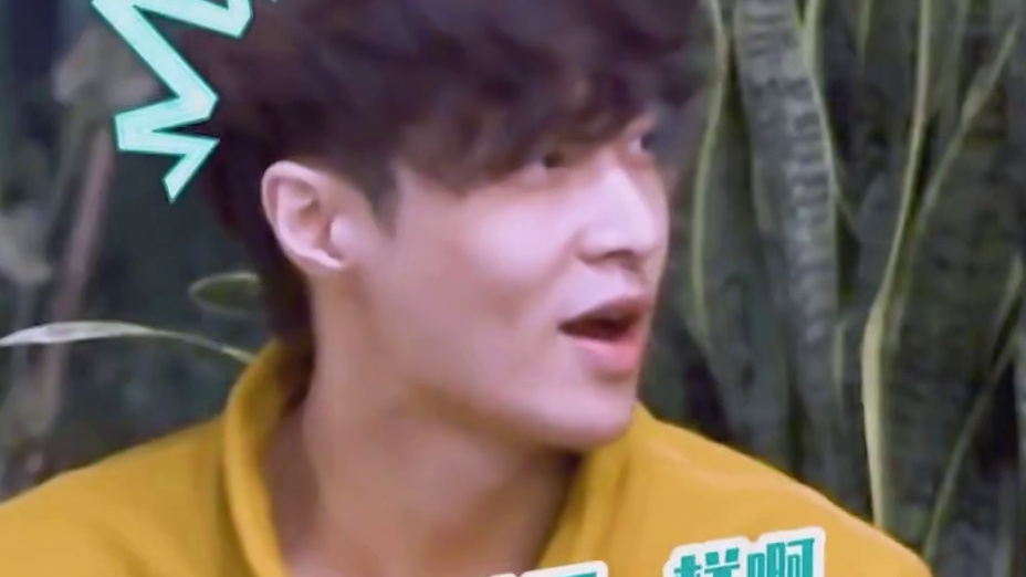 张艺兴遇到金靖画风这么有趣，脑瓜子嗡嗡的~