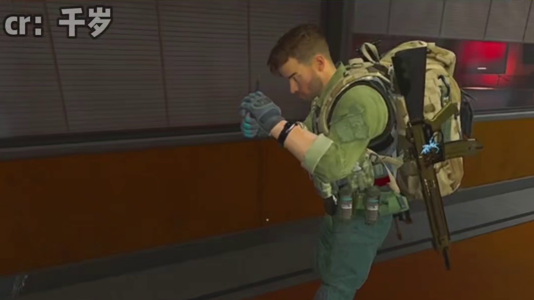 哈基蜂进化，威猛虎头蜂出击