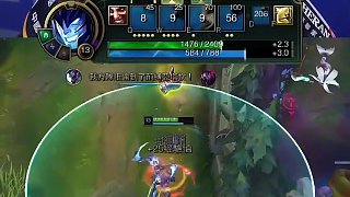 Doggo第一視角：德萊文手起斧落