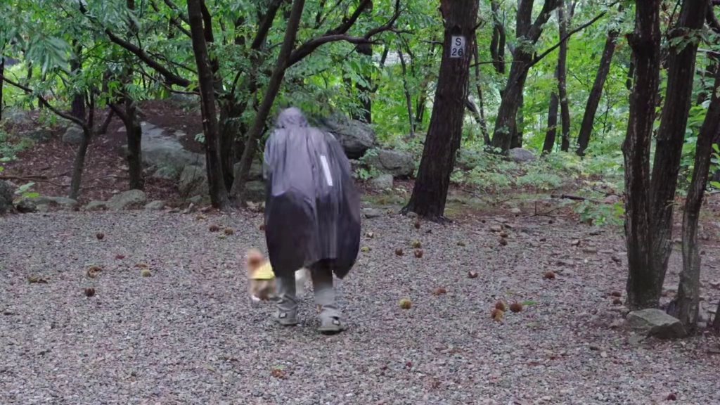 【无限露营】暴雨露营 #露营#沉浸式体验