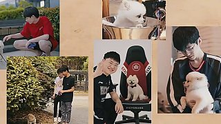 EDG告別隊寵Nice：故事寫滿十年里每個角落，Nice寶貝晚安