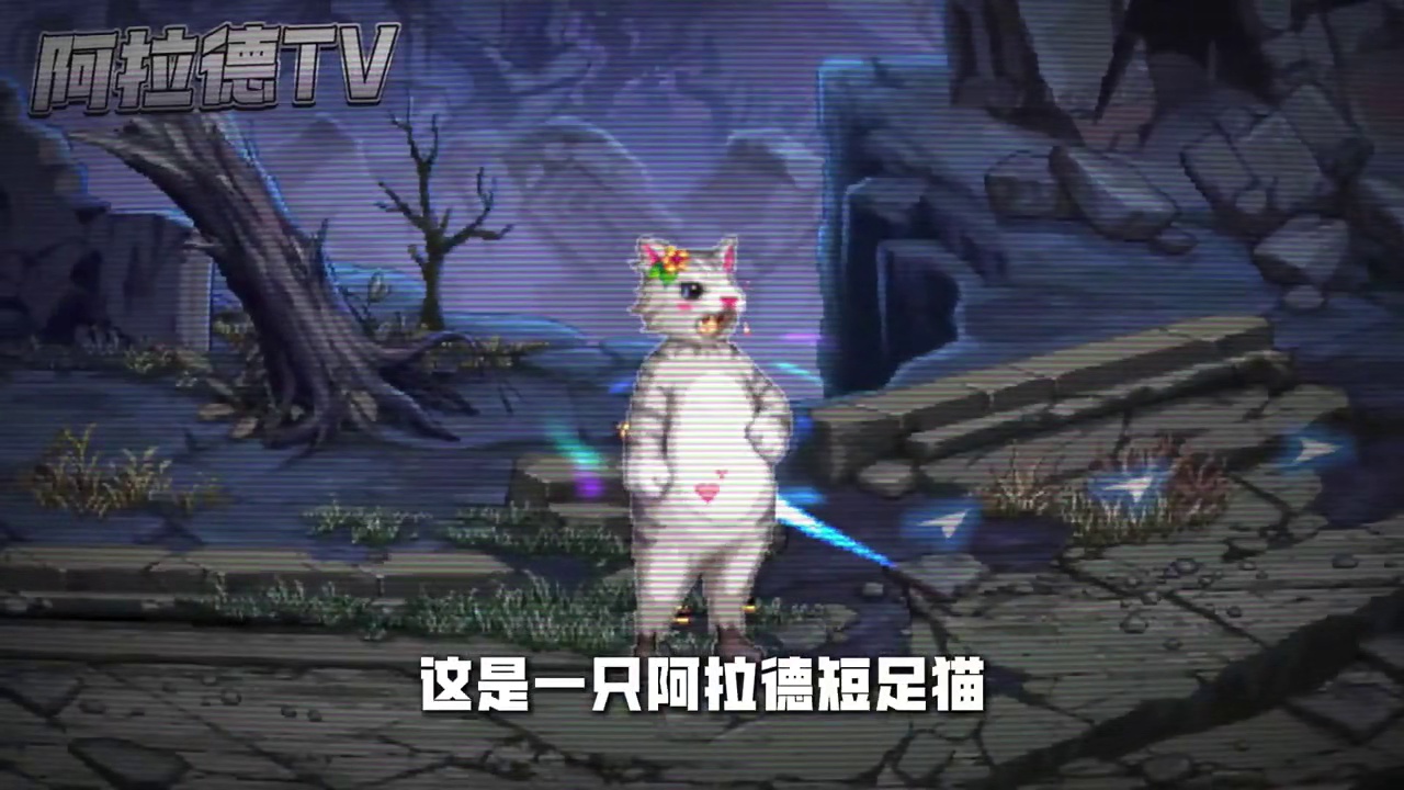 这是一个单恋的故事，猫猫真的是卡利斯的菜，可惜猫猫不同意。 
#DNF手游土龙  #DNF手游刃影 