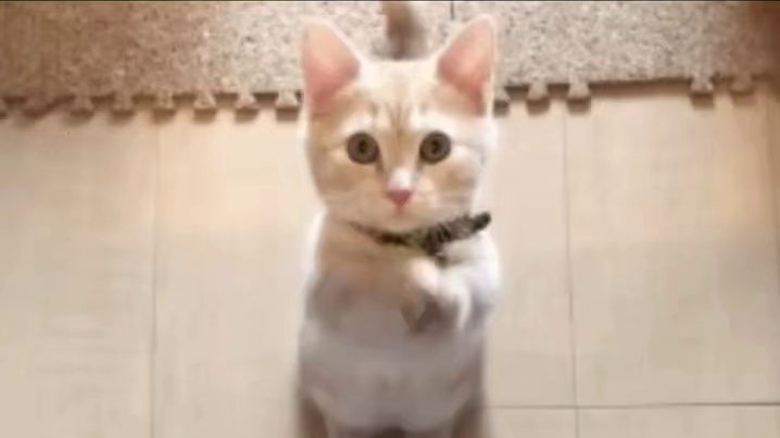 听说浪浪山的小猪妖，偷偷改行去梦幻西游手游取经了？#梦幻西游手游#梦幻西游浪浪山联动 #浪浪山小妖怪