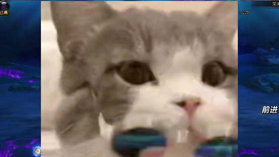 DNF10.30缝纫机活动4套至尊装扮对应武器装扮外观展示！ #DNF猪猪侠联动  #dnf #地下