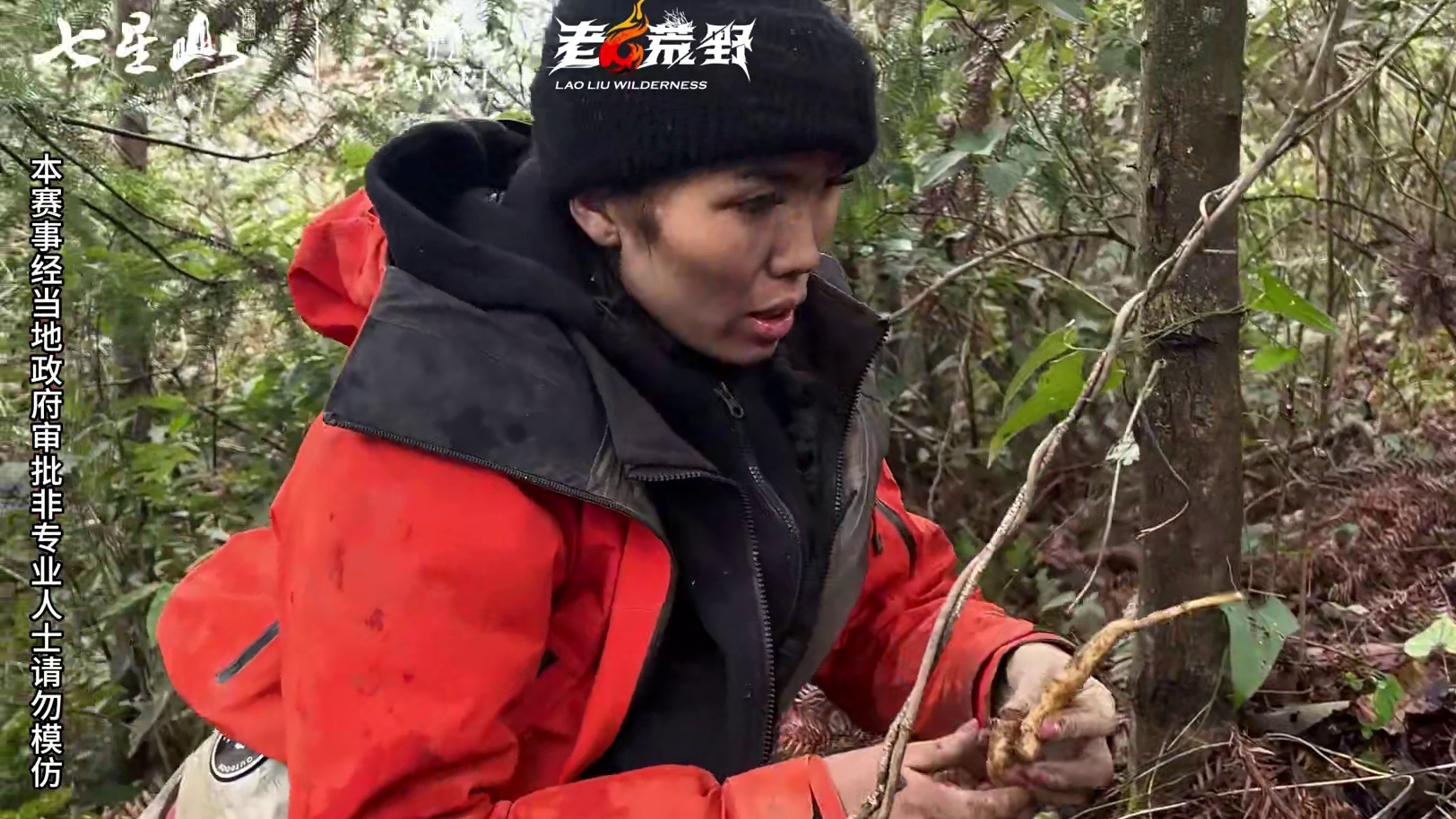 是荒野，也是无限 第二届中国张家界“七星山|骆驼杯”极限荒野挑战赛，第十八天#荒野求生#张家界七星山