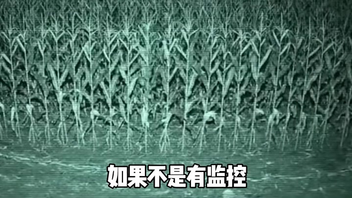 监控下面的一幕！