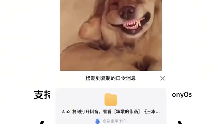 《七梦宝库》#rubii rubii下载
rubii
rubii软件
rubii ai下载
rubi