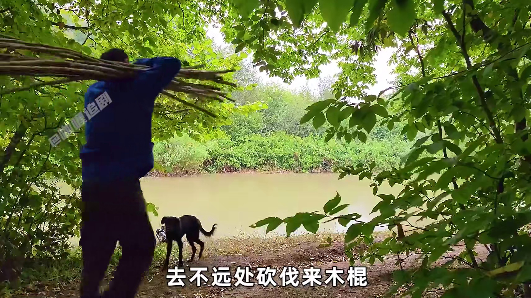 男人仅用简单工具就在和中央建造出几十平小屋，还有收纳式楼梯能抵御掠食者袭击#荒野建造 #真实户外 #