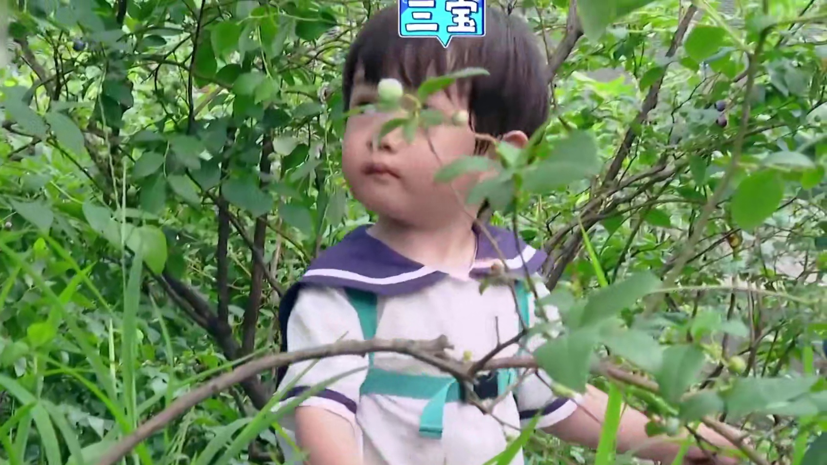 原来就算是长得一模一样的三胞胎，家里人也做不到一碗水端平