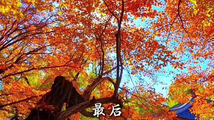 11月份 去北京旅游 需要注意些什么呢 一条视频告诉你 #北京旅游攻略 #北京秋日晚霞 #故宫 #天