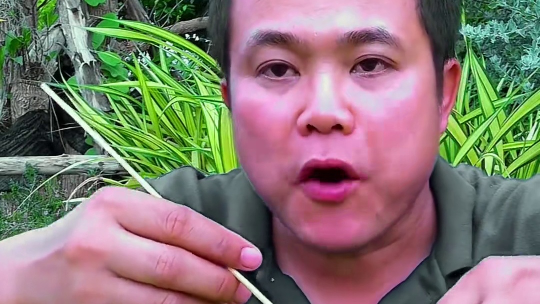 泰国赖苦瓜鲜辣剁椒酱️水煮小猫眼 #泰国大叔#泰国美食#内容启发搜索 #种草激励计划#全民任务