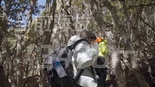 我們想把日照金山的愿景，帶給我們的戰(zhàn)隊和每一位粉絲，希望來自貢嘎雪山的祝福，也能庇佑LPL再次翻過這