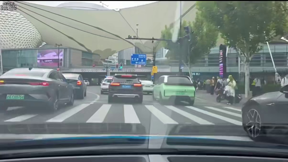 开布加迪来看alvst1路人惊到了全在拍照#小小小酷哥 #布加迪chiron #名场面