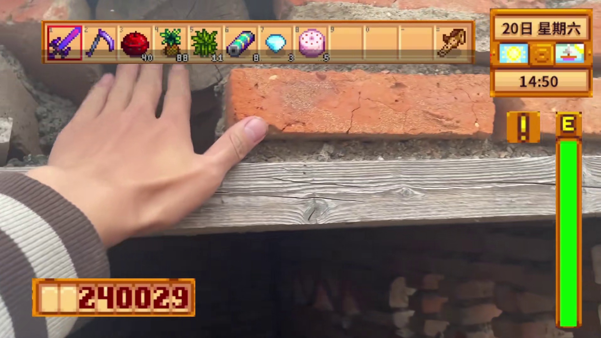 【星露谷物语】不愧是重阳节，一个大南风教你做人！