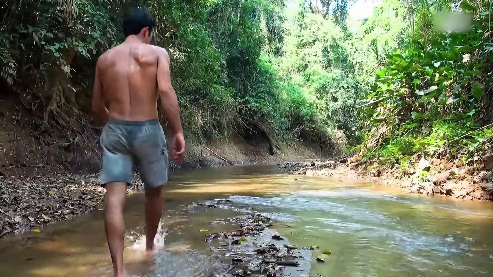 男人徒手30天穿越亚马逊雨林，和诸多动物交朋友