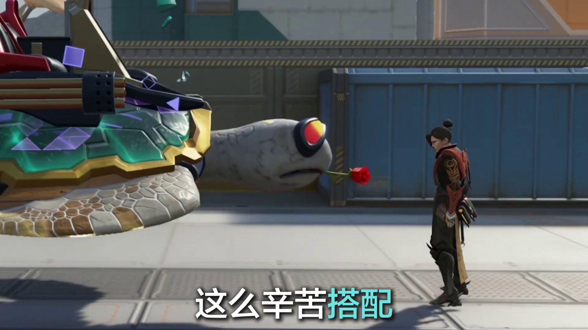 浮游云龟的成长经历