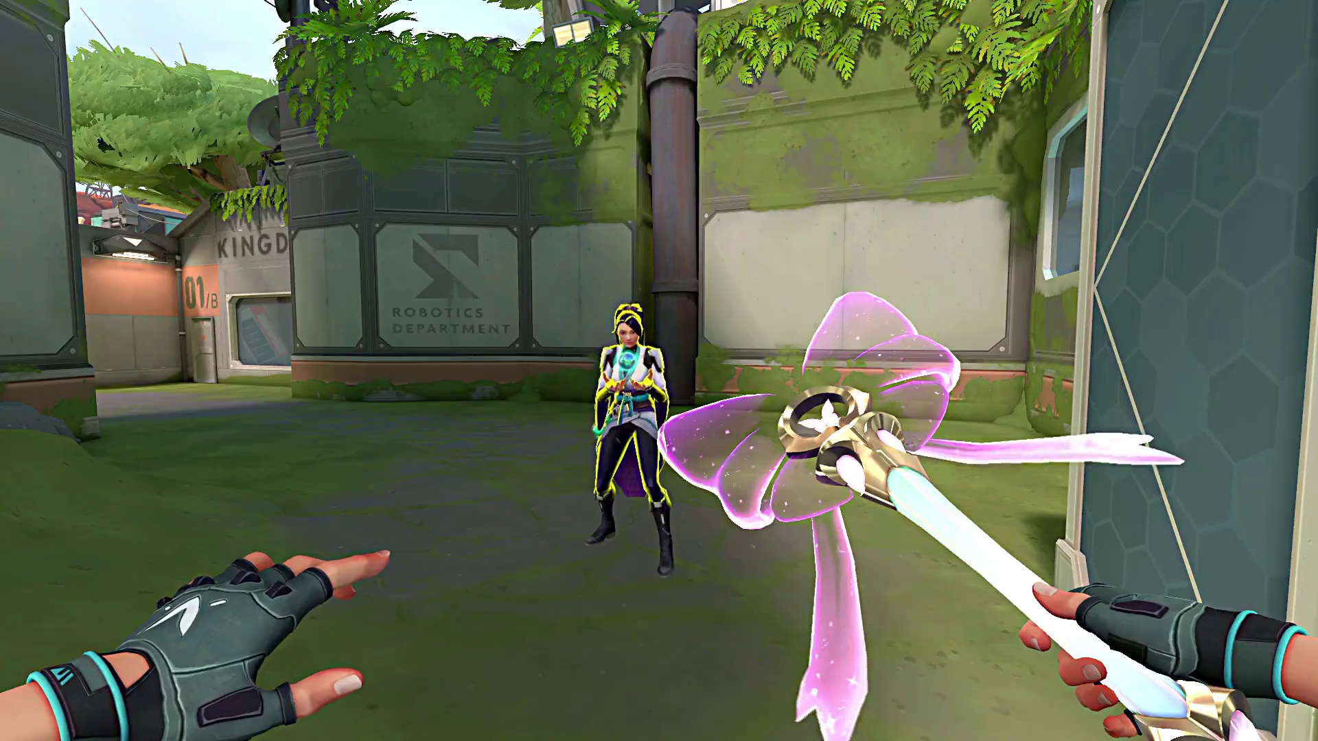 我只想给你给你宠爱