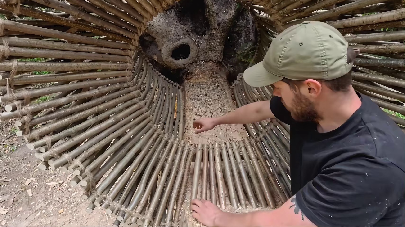 小伙将倒塌大树打造成舒适庇护所