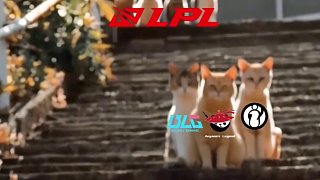 你的背后有我們 #把力量借給TES  #送TES趕考 #T1對戰(zhàn)TES #英雄聯(lián)盟S15  #上