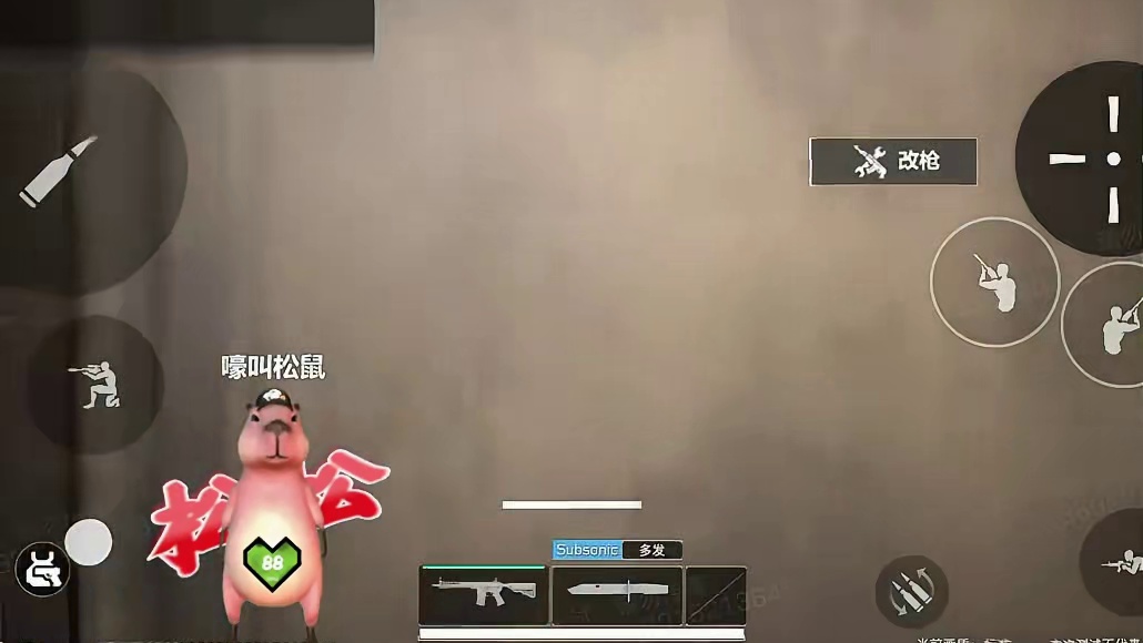 大家觉得这个枪究极如何呢？