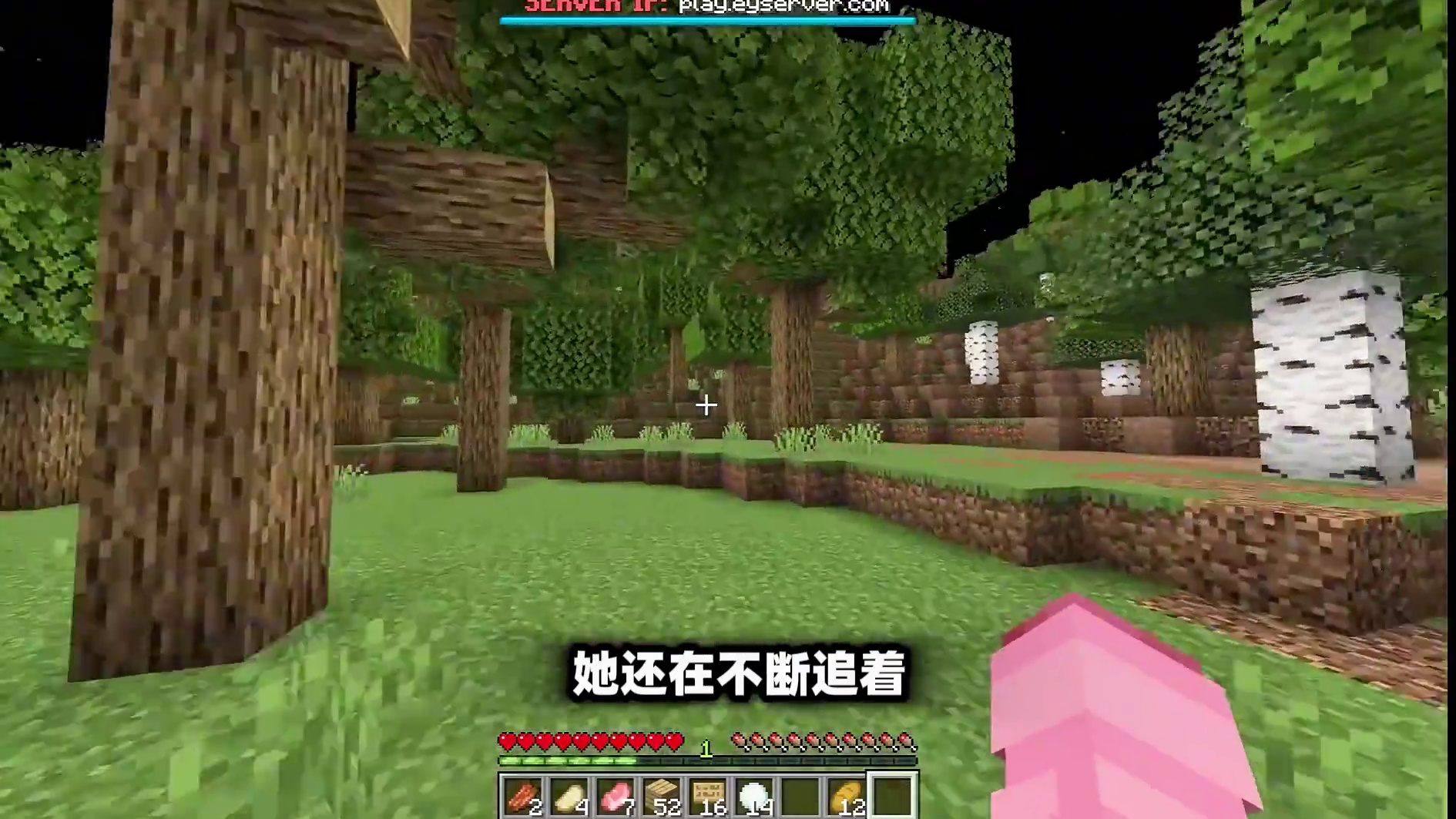 我的世界：奖金5万美元！两名最强玩家在24小时内要猎杀500 希望各位观众老爷喜欢的，你的支持是我日更的动力！！！