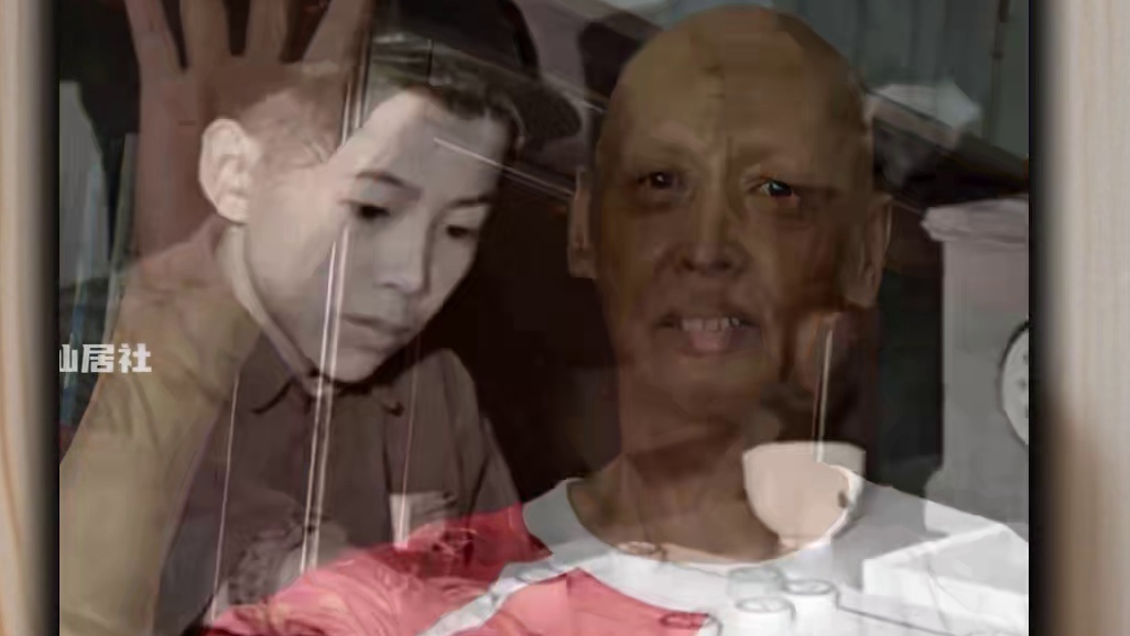 1960年全国象棋个人赛胡荣华先负王嘉良精彩历史名局复盘解说 #象棋 #象棋高手 #象棋布局 #象棋