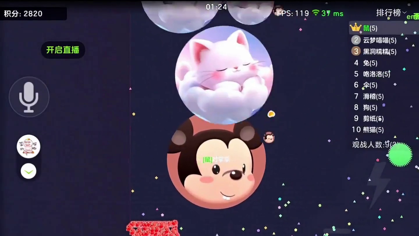 藏球被第一发现了 《没人敢过来》