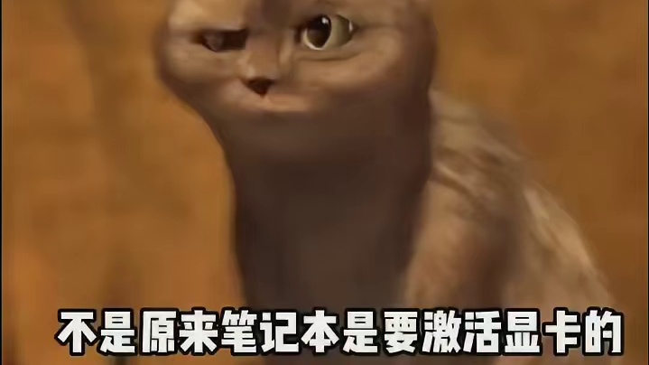 原来笔记本要激活显卡