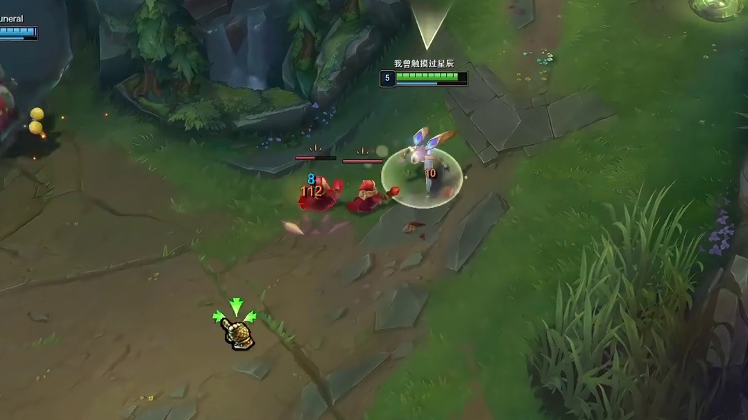 组排ad，卡莎操作秀